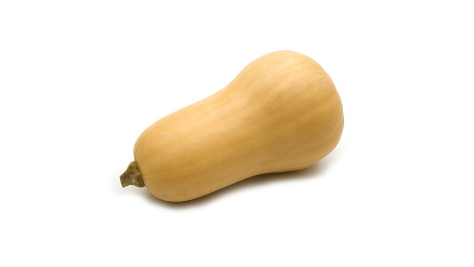 Zucca Butternut