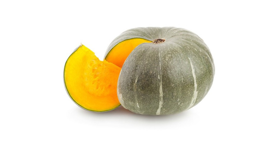 Zucca Delica