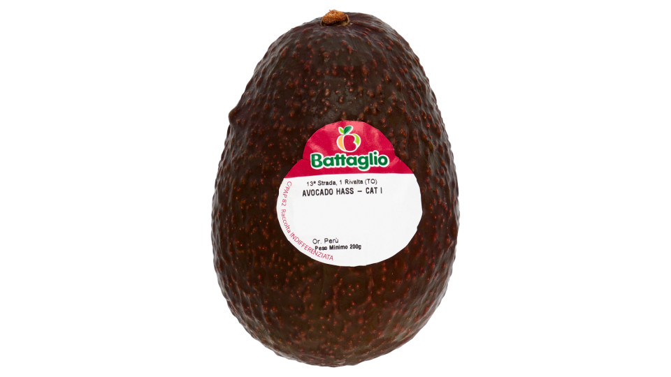 Avocado Hass