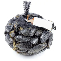 Cozze Sbissate Vive