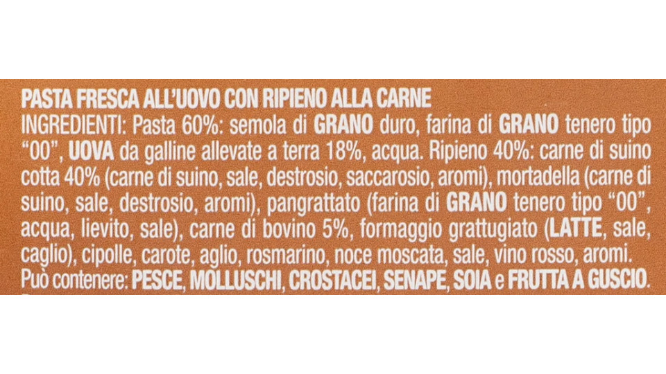 Ravioli alla Carne