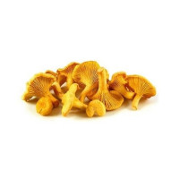 Funghi Finferli