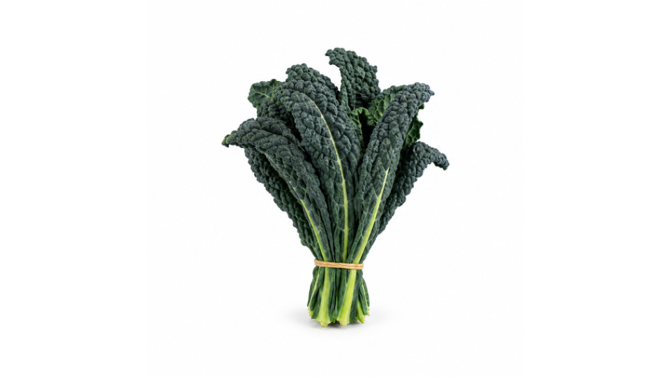 Cavolo Nero