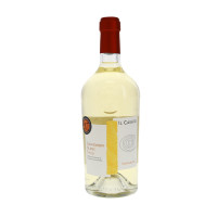 Sauvignon Blanc Friuli Doc