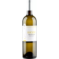 Lucido Igt Enotrium