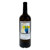 Ribolla Gialla Doc