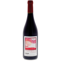 Vino Corvina Verona Igt Cl.75
