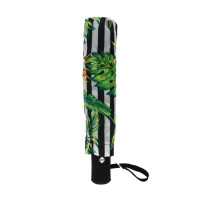 Ombrello Nylon Fantasia Pois