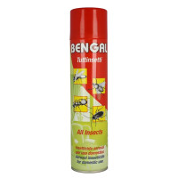 Insetticida Universale Spray Bengal