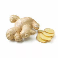 Ginger