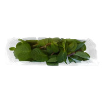 Menta