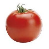 Pomodori Insalatari