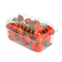Pomodoro Datterino