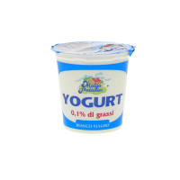 Yogurt Magro
