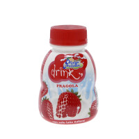 Yogurt Drink Fragola