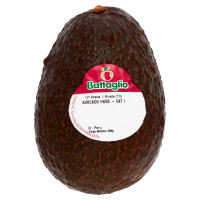 Avocado Hass