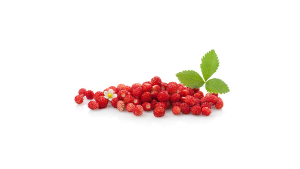 Fragoline di Bosco 80g