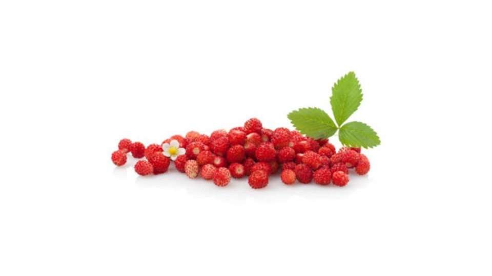 Fragoline di Bosco 80g