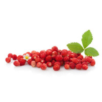 Fragoline di Bosco 80g
