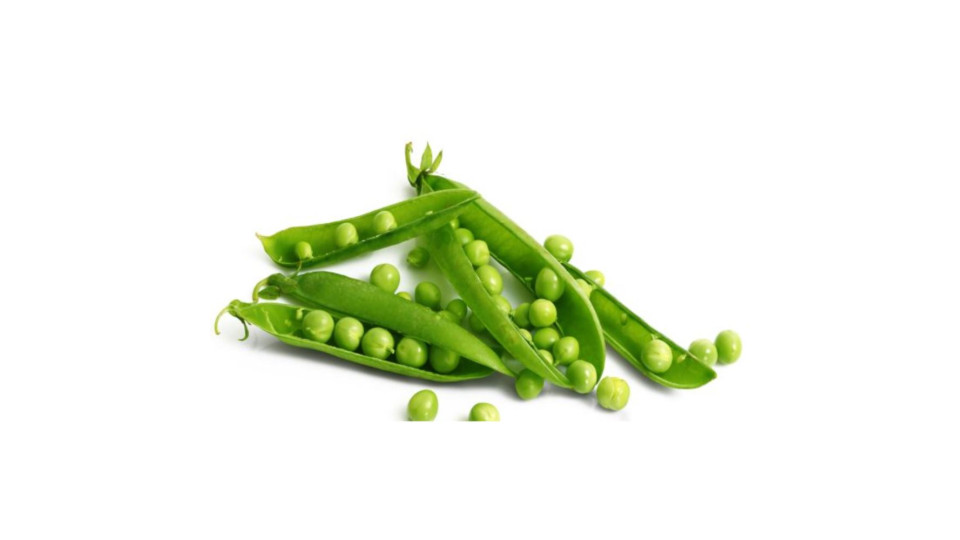 Piselli 500g