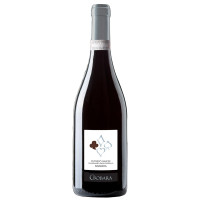 Barbera Doc dell'Oltrepò Pavese