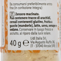 Zenzero Macinato