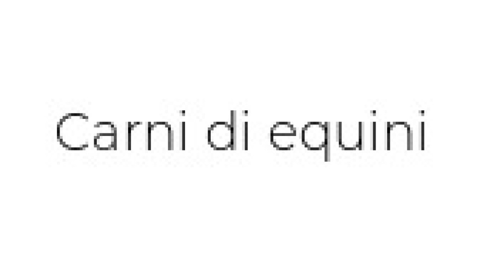 Fettine scelte di equino