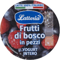 Yogurt Intero Frutti di Bosco Solo Latte Italiano