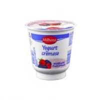 Yogurt Cremoso Frutti di Bosco 10% Grassi