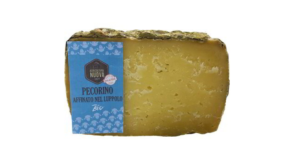 Pecorino affinato al luppolo