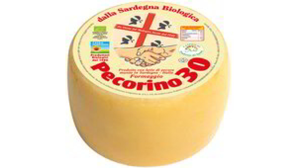 Pecorino giovane