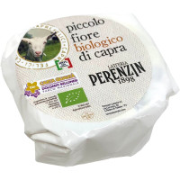 Piccolo fiore di capra