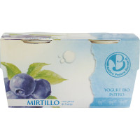 Yogurt al mirtillo