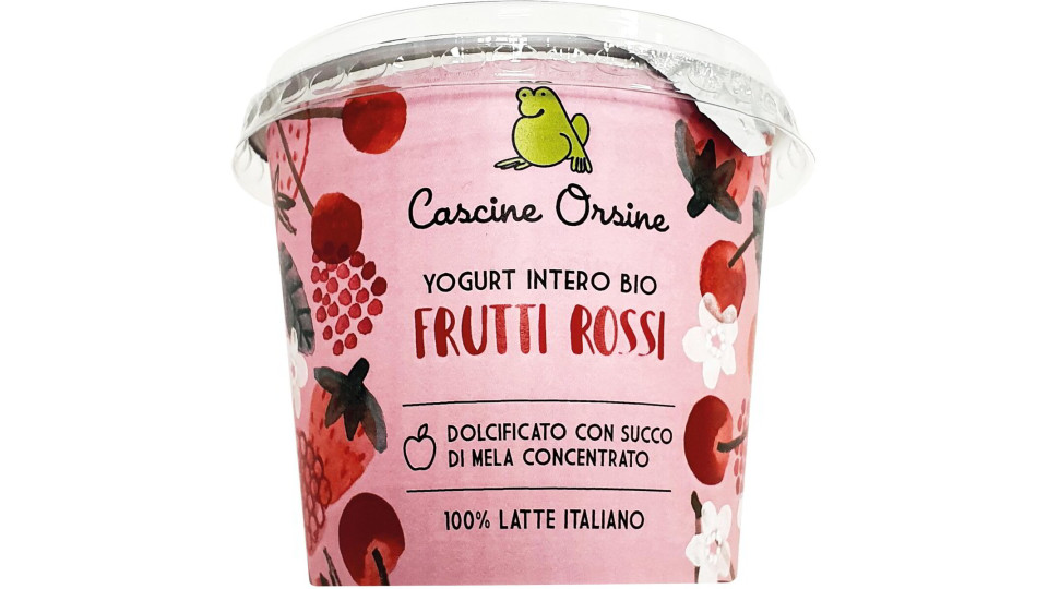 Yogurt intero con frutti rossi a pezzi