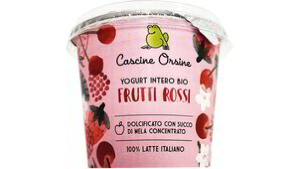 Yogurt intero con frutti rossi a pezzi