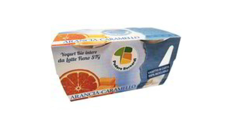 Yogurt intero da latte fieno STG arancia e caramello