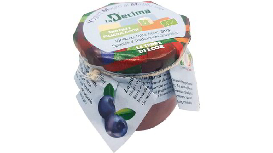 Yogurt magro al mirtillo