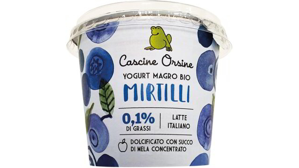 Yogurt magro con mirtilli in pezzi