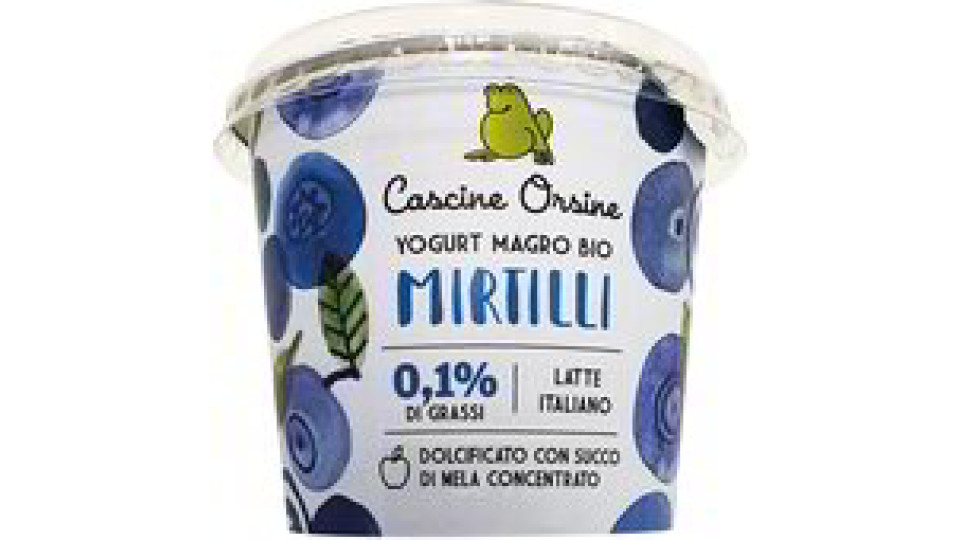 Yogurt magro con mirtilli in pezzi