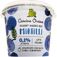 Yogurt magro con mirtilli in pezzi