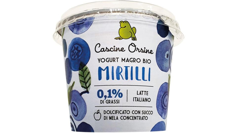 Yogurt magro con mirtilli in pezzi