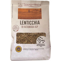 T. ARCA LENTIC.ALTA.