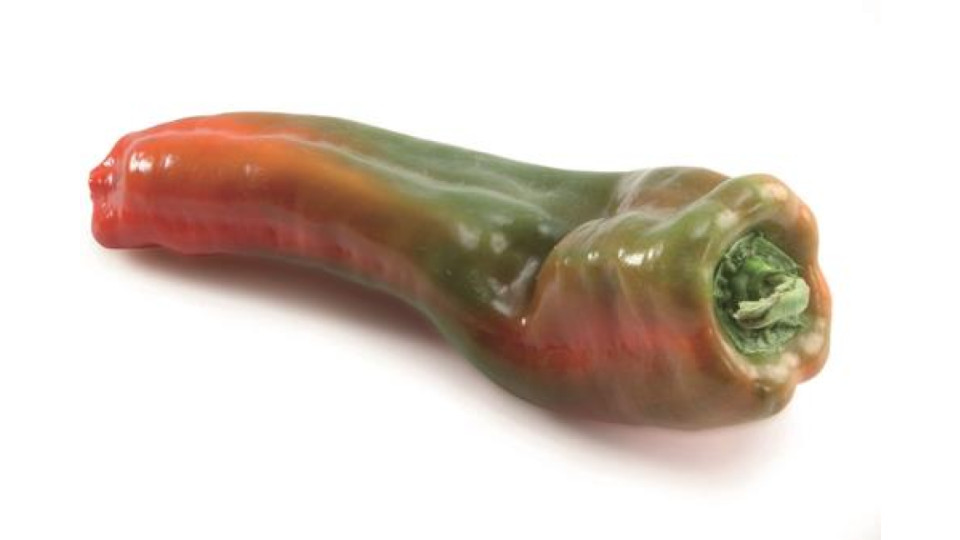 PEPERONE SWEET PALERMO G 500