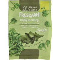 IV BABY ICEBERG GR 80