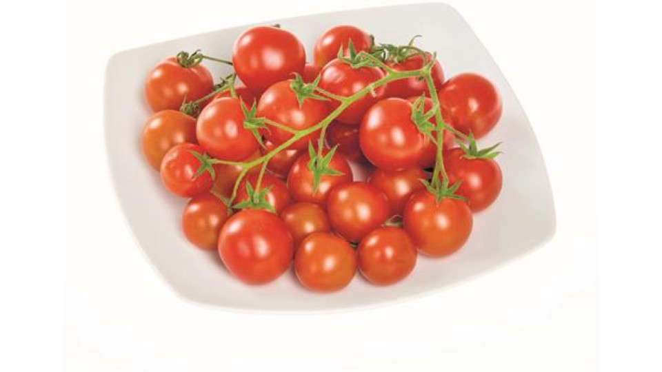 POM.N.FREE CILIEGINO