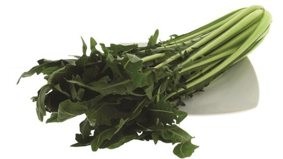 CATALOGNA SPIGATA