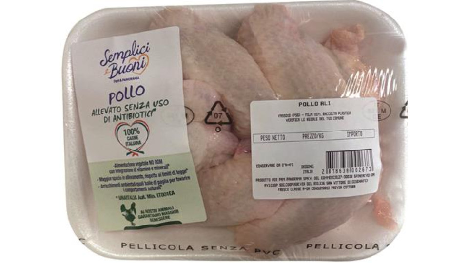 ALI DI POLLO