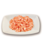 CODA MAZZANCOLLA PRECOTTA