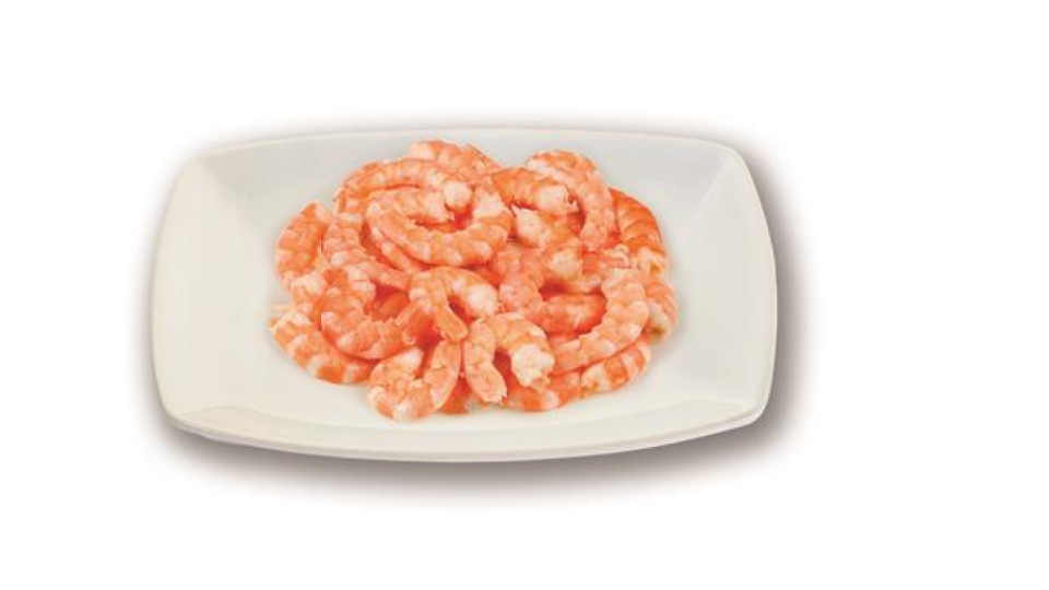 CODA MAZZANCOLLA PRECOTTA