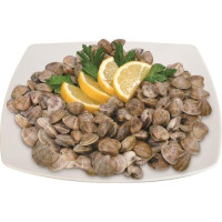 LUPINI "I PESCHERECCI"